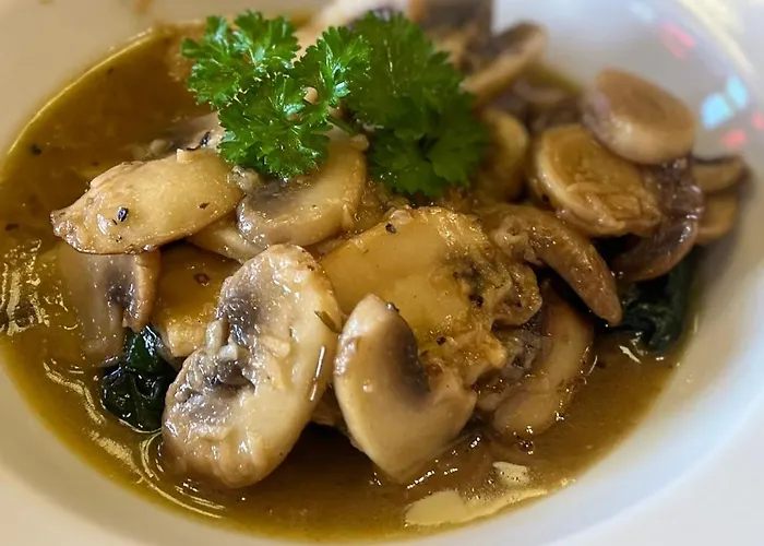 Bed & Breakfast The Dome House