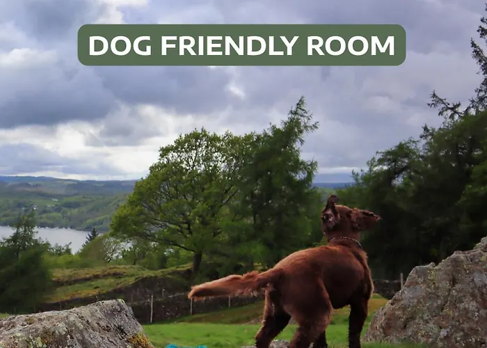 Bed & Breakfast The Dome House